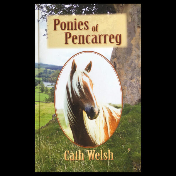 Ponies of Pencarreg